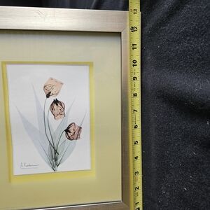 Framed Translucent Botanical Art Print